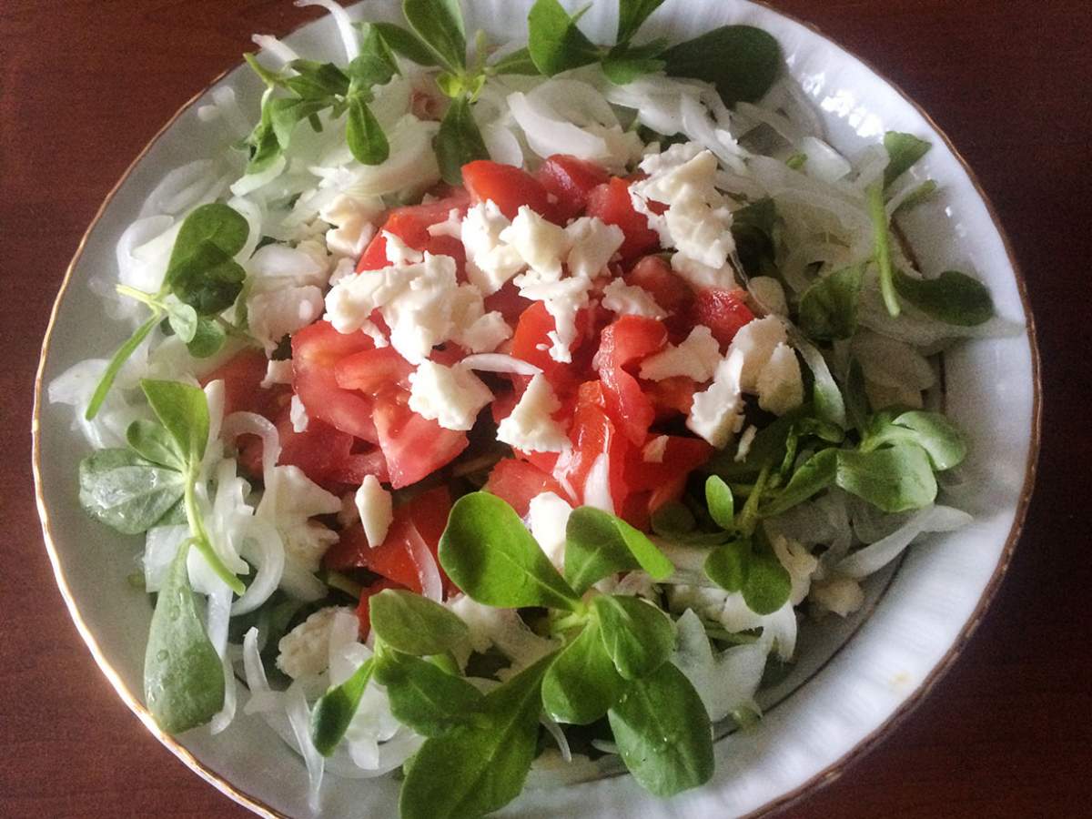 Peynirli Semizotu Salatasi
